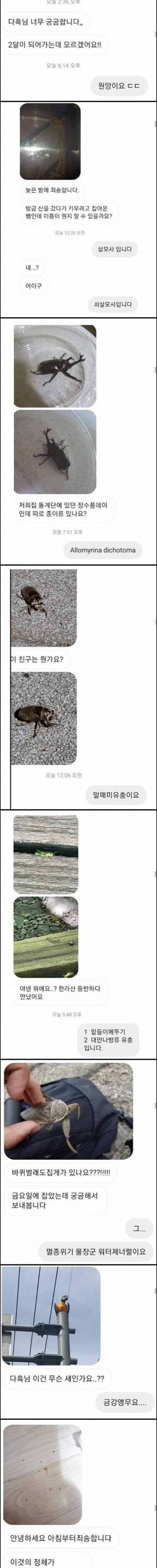 [약혐]생물 유튜버가 받는 DM