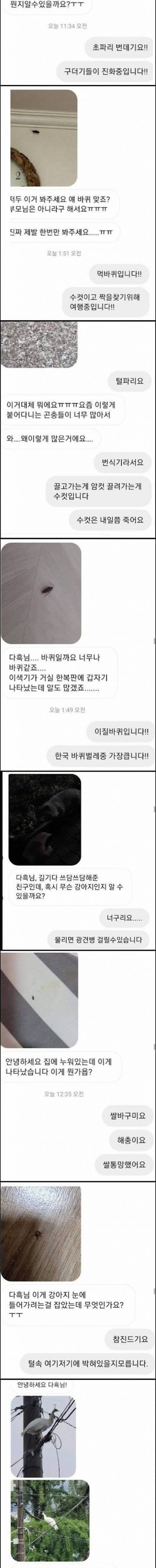 [약혐]생물 유튜버가 받는 DM