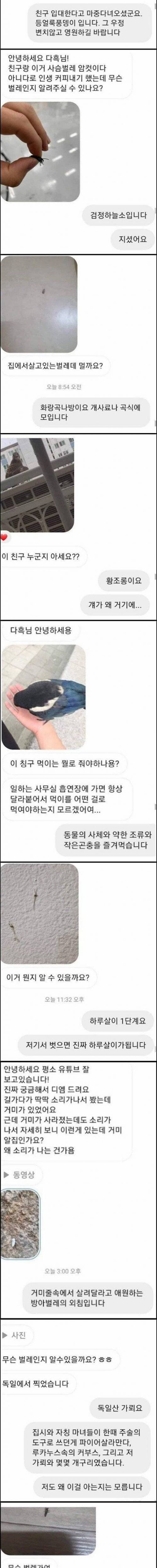 [약혐]생물 유튜버가 받는 DM