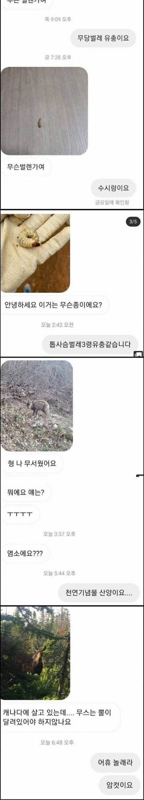 [약혐]생물 유튜버가 받는 DM