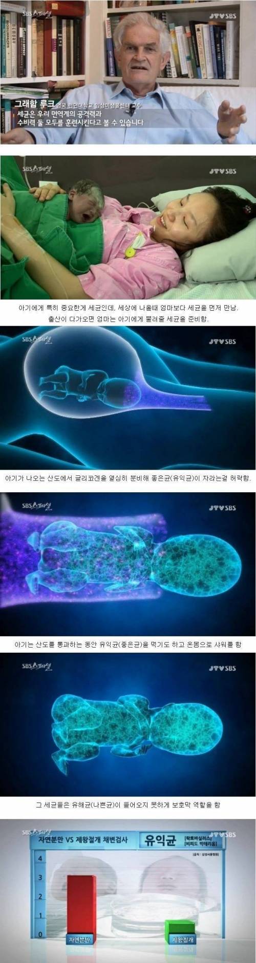 적당히 더러워야 건강에 좋다