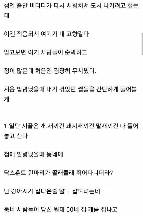 시골 깡촌에서 절대 경찰하지마라 . txt.jpg