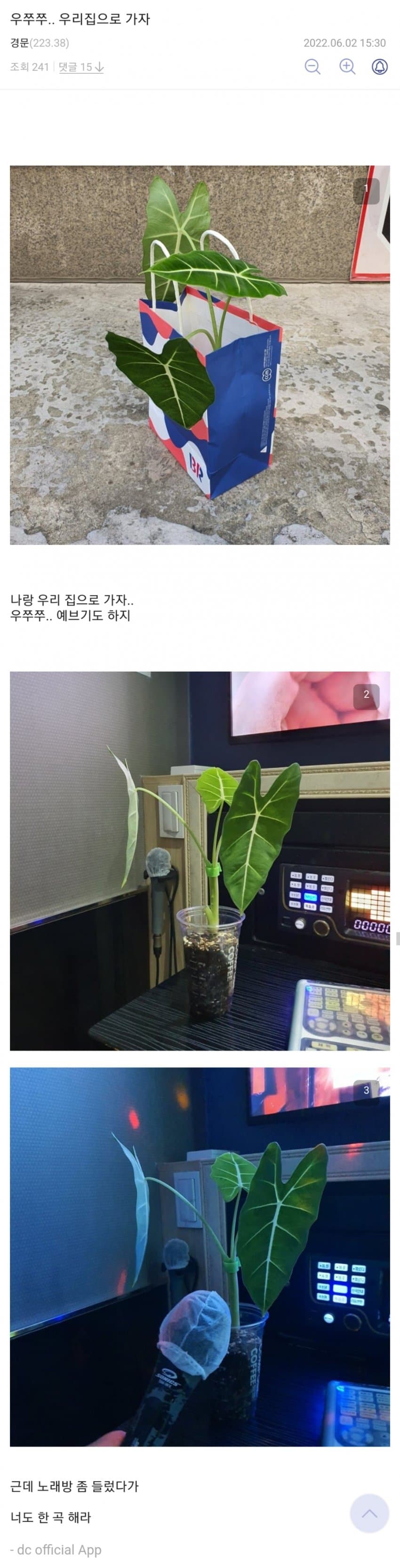 식갤의 데이트상대.jpg