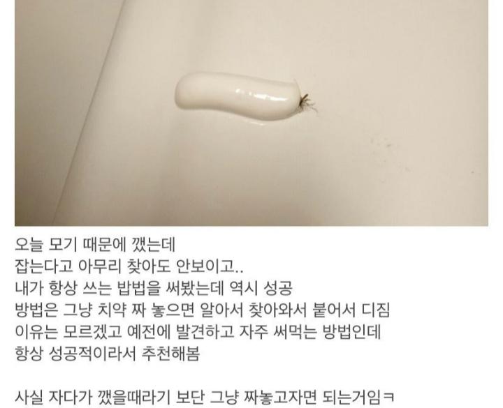 모기 잡는 팁