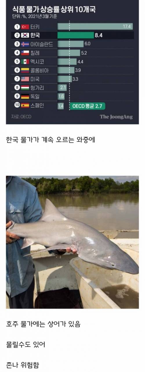 호주 물가가 위험한 이유