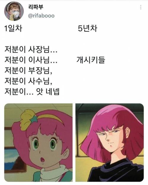 회사 신입과 5년차의 차이.jpg