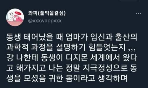 성교육이 귀찮았던 엄마