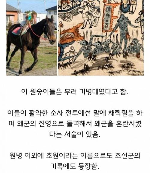 조선군 : 흑인 용병이 왜 신기한건데?