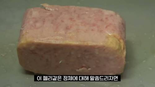 				스팸에 항상 붙어있는 젤리같은것의 정체