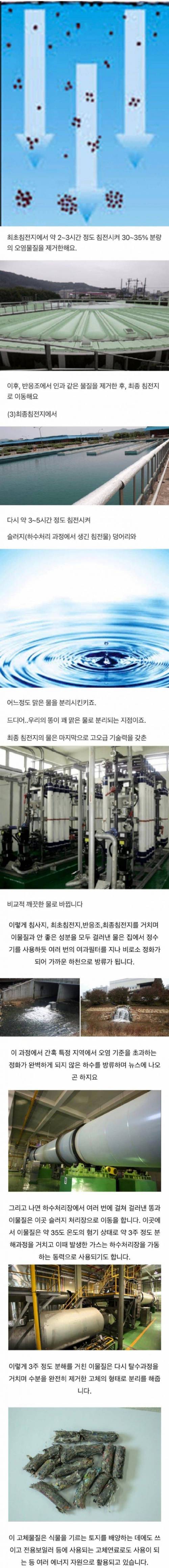 우리가 싼 똥 어디로 가는걸까.jpg