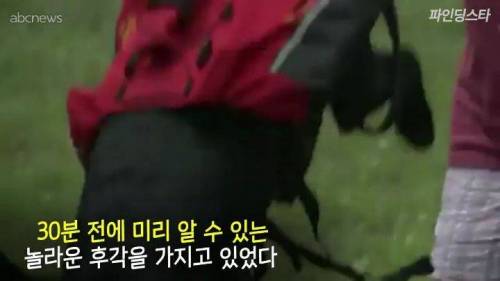 미국 한 고등학교 졸업앨범에 실린 댕댕이