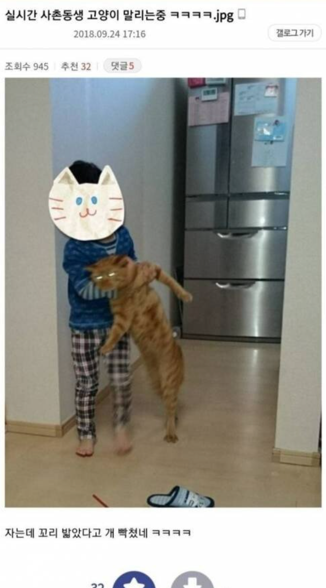 고양이 말리는 사촌 동생