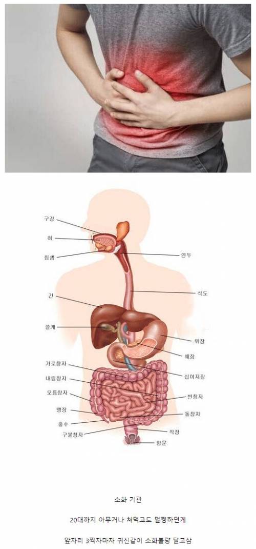 30줄부터 급격히 맛탱이 가는 기관