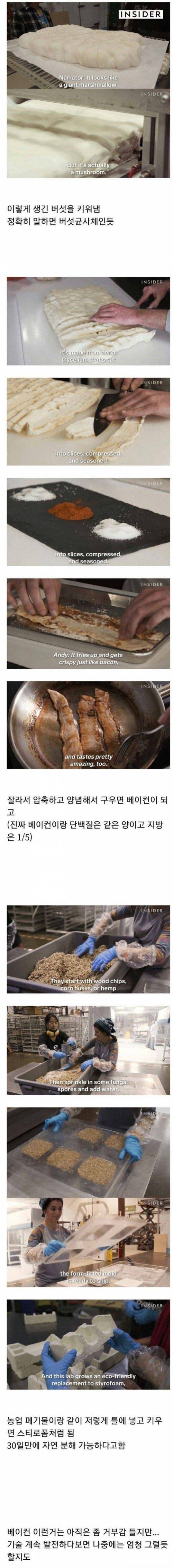 신종 버섯 개발 근황