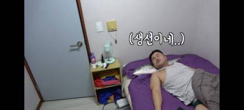 친구 배게를 방어로 바꿔보았다