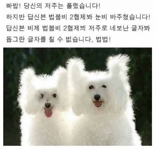 네모네모 멈뭄미체 변환기