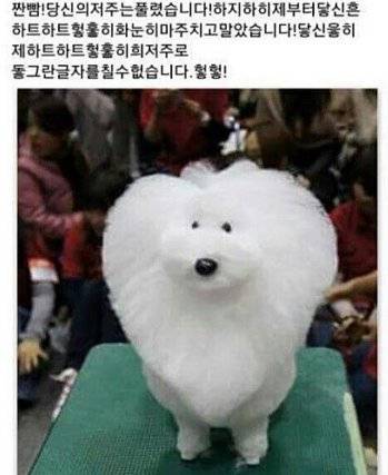 네모네모 멈뭄미체 변환기