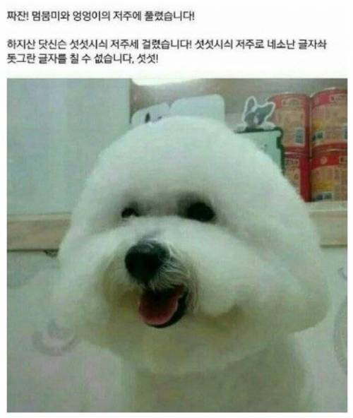 네모네모 멈뭄미체 변환기