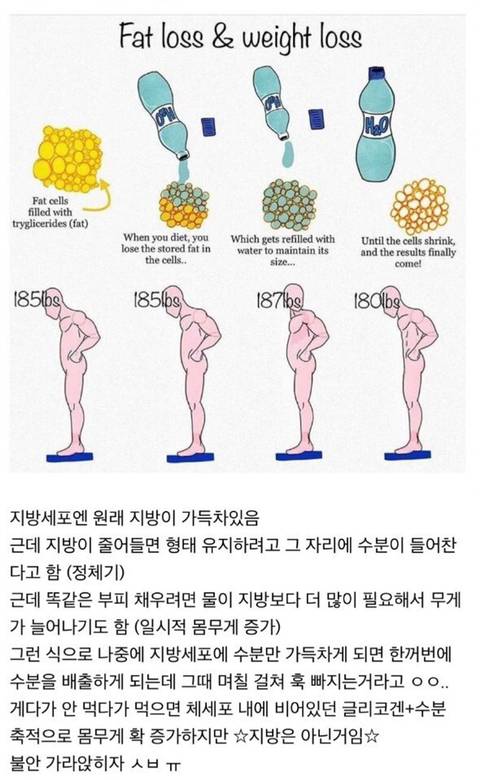 다이어트 하는데 몸무게가 오히려 늘어