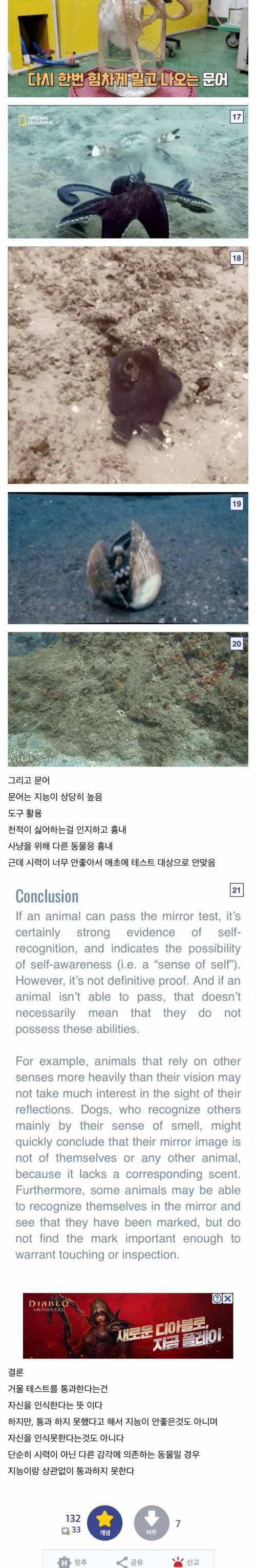 거울테스트 통과, 실패한 동물들.jpg