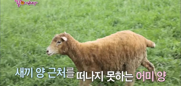 아들의 유골함 옆에 자신의 자리를 마련해 놓은 배우 박원숙