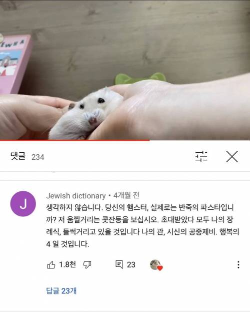 어느 햄스터 유튜브에 달린 외국인 주접 댓글