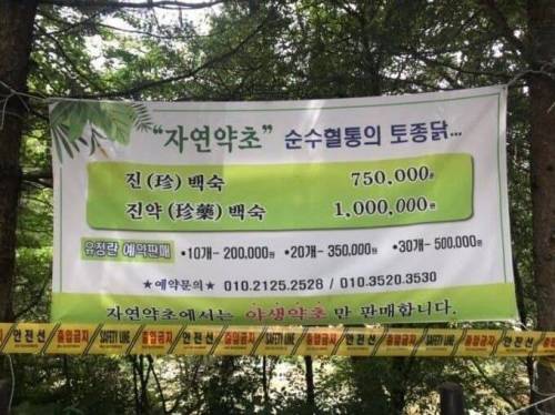 닭 한마리 3만원이라는 소리듣고 충격받은사람