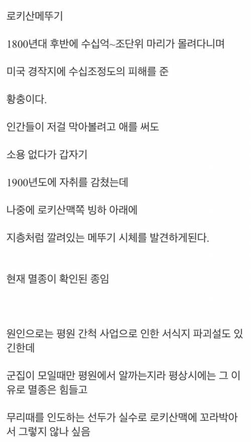 로키산 메뚜기가 자취를 감추고 멸종한 이유.jpg