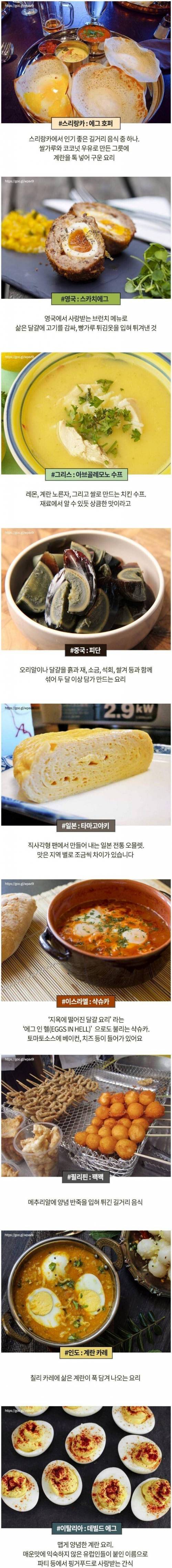 여러 나라의 계란 요리.jpg