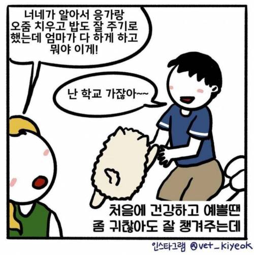 수의사가 누군가는 양심의 가책을 느끼길 바라며 그린 만화