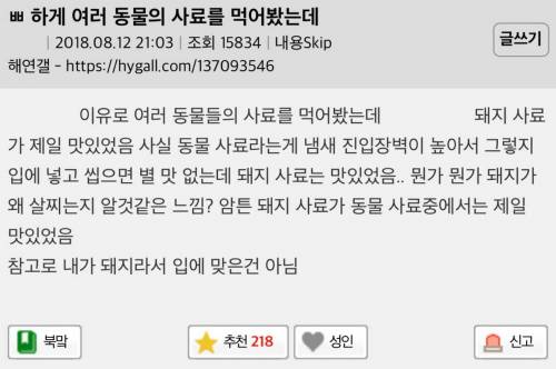 동물들 사료 먹어본 