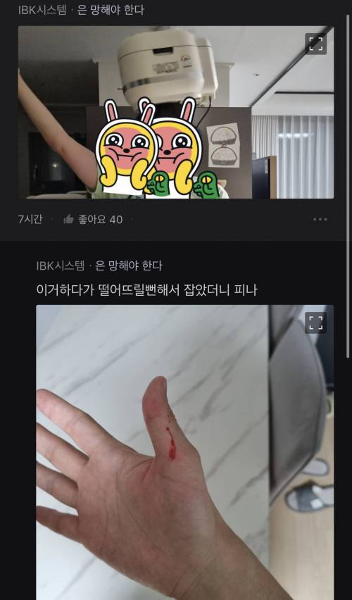 머리에 뭐 얹기 챌린지...jpg