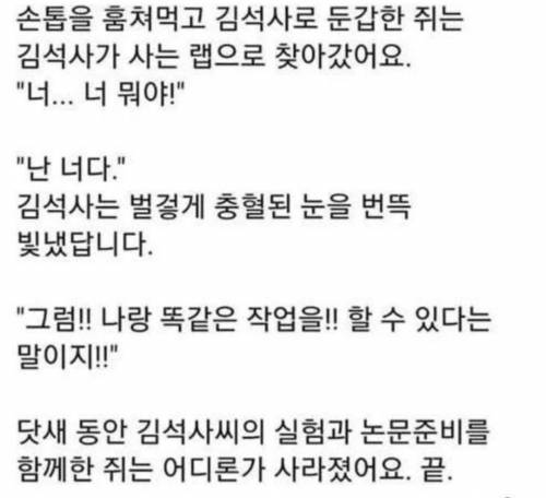 대학원생의 손톱을 훔쳐 먹은 쥐의 인생