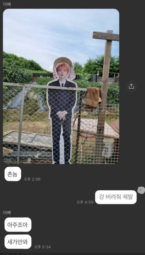 할머니집 논에 허수아비