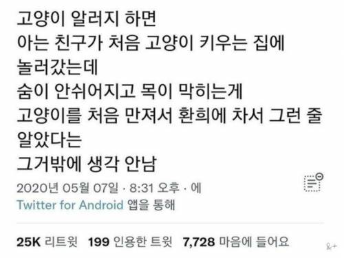 고양이 알러지가 있는 친구