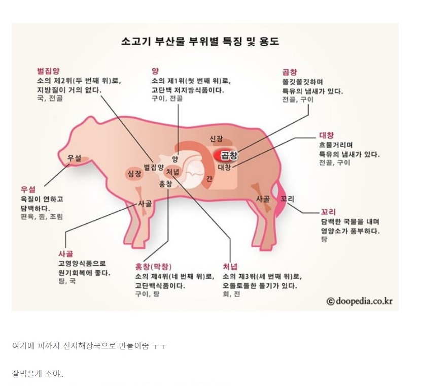 아낌없이 주는 소