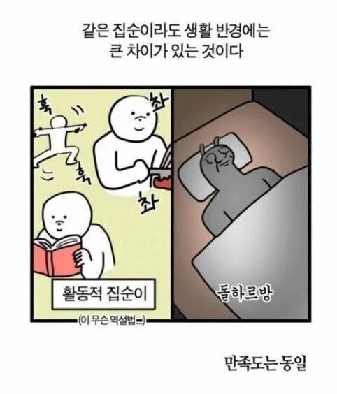 집돌이 집순이도 차이가 있다.jpg