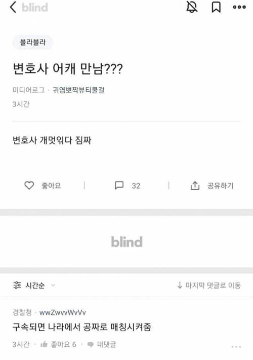 변호사 만나고싶은 블라 언냐.blind