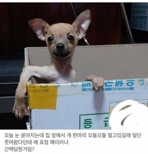 ??? :: 어이! 거기 나 좀 키워