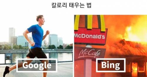 해외 친구들이 느끼는 빙과 구글의 검색 능력