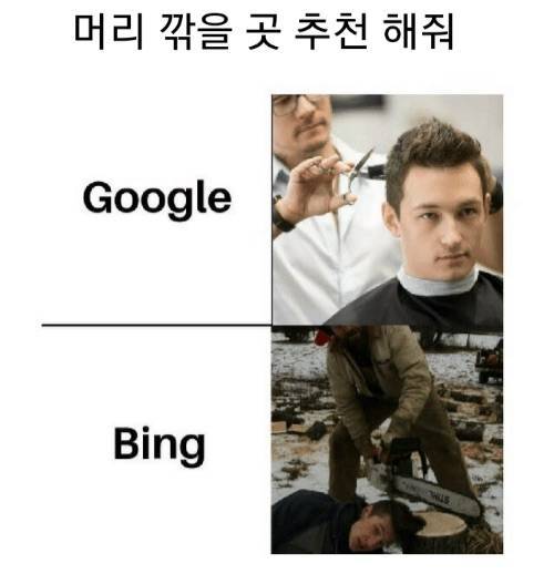 해외 친구들이 느끼는 빙과 구글의 검색 능력