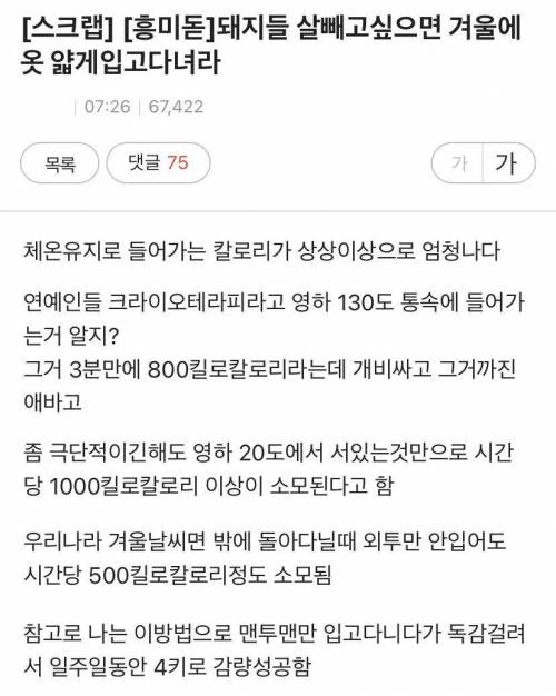 돼지들 살 빼고 싶으면 겨울에 옷 얇게 입고 다녀라