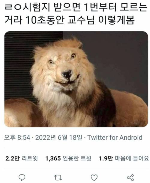 시험지 받았을때 내표정