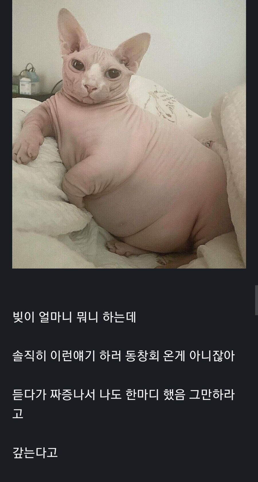 10년만에 동창회에서 돈이야기만함