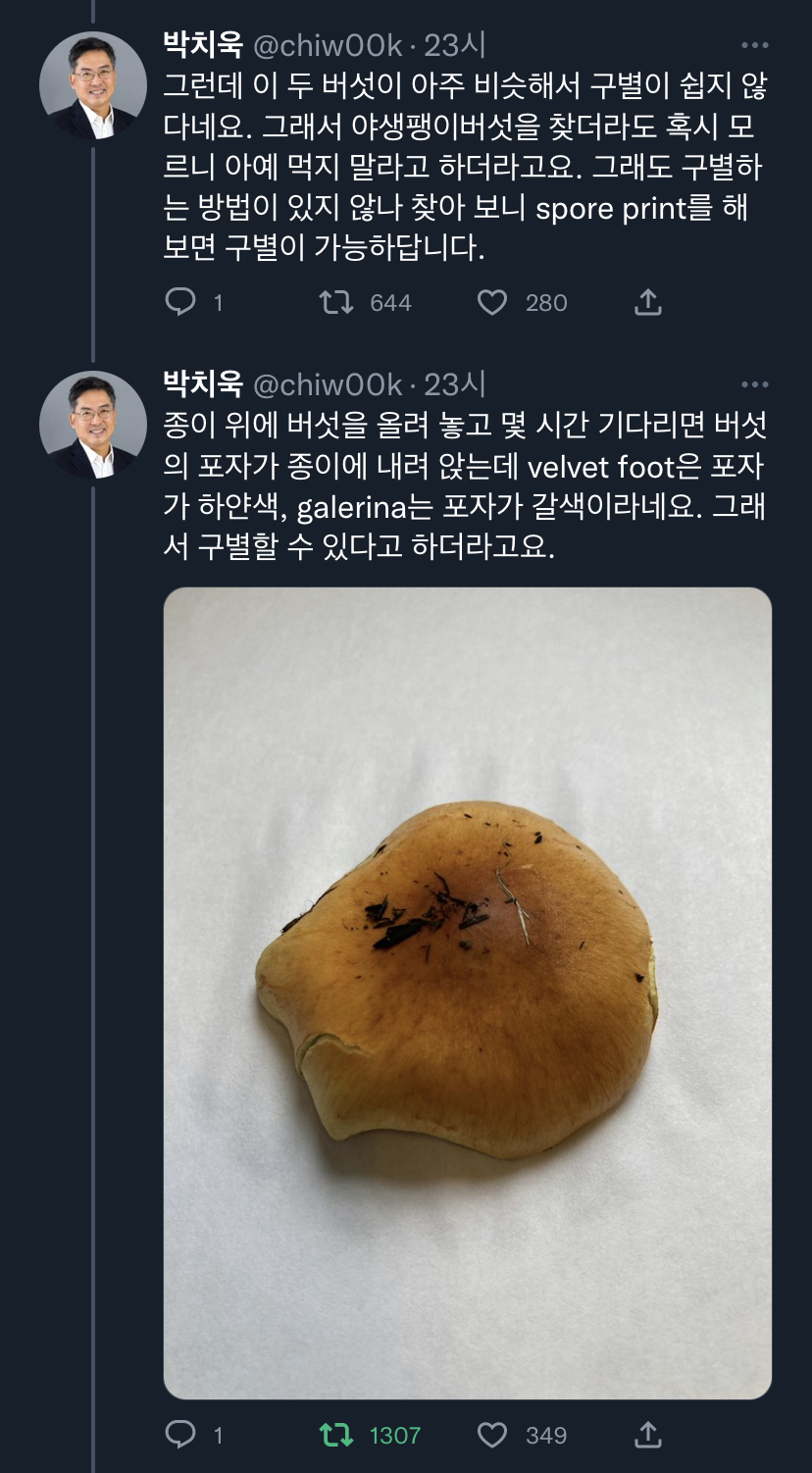 마당에 핀 버섯이 식용인지 독버섯인지 알아내는법.twt