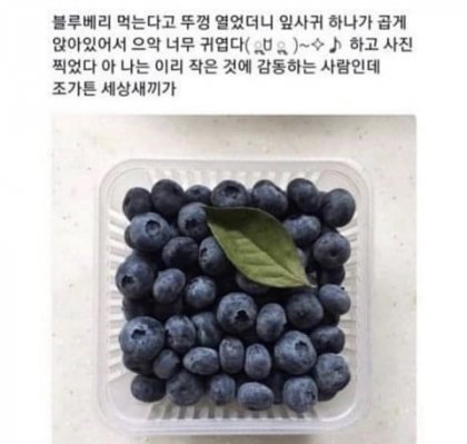 세상이 잘못한거 가틈;;