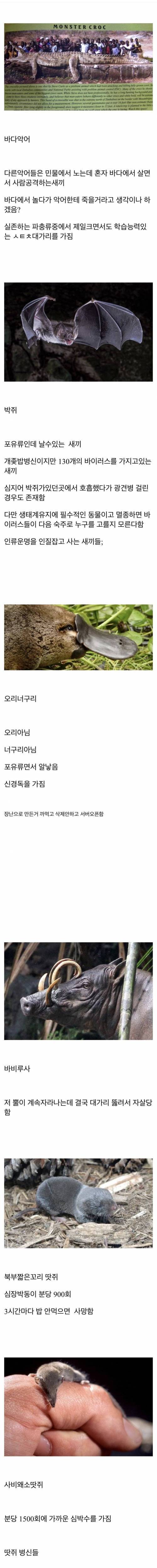 지구 제작진의 설계미스 동물들