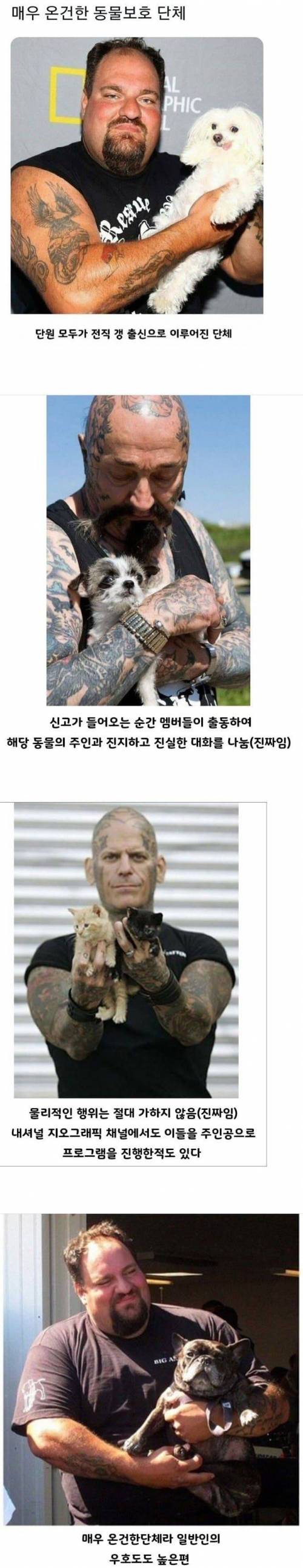 매우 온건한 동물 보호단체