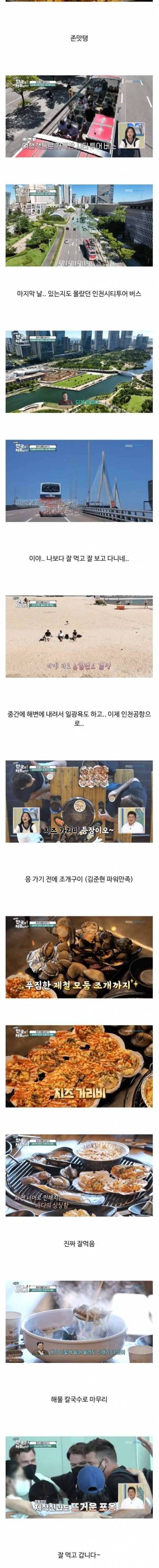 한국인들 꽤나 만족시킨 뉴질랜드 형제