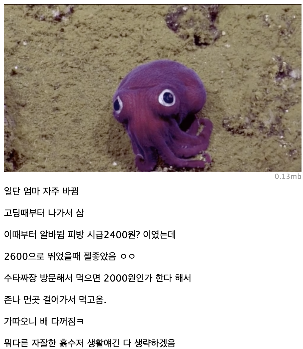 찐 흙수저 인생 성공담